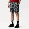 Шорты TNF Class V Pathfinder Pull-On Short (Мужской; S; BlackBeta FlashPrint)